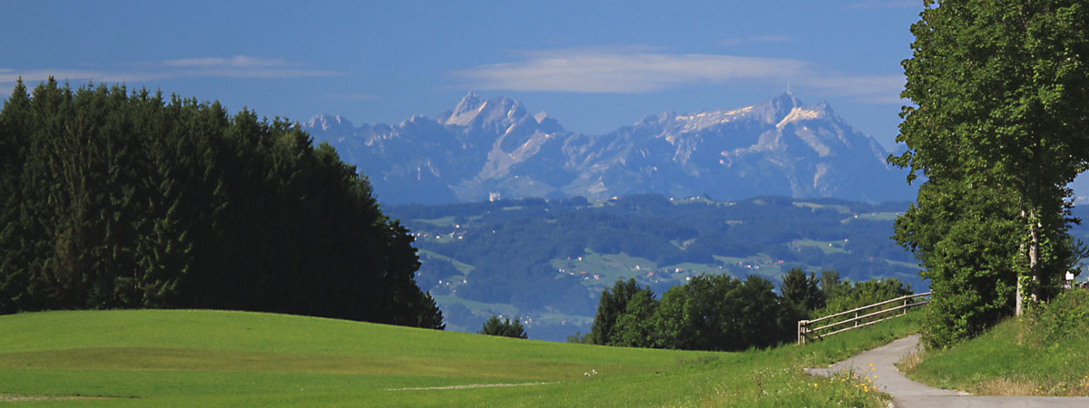haus banner